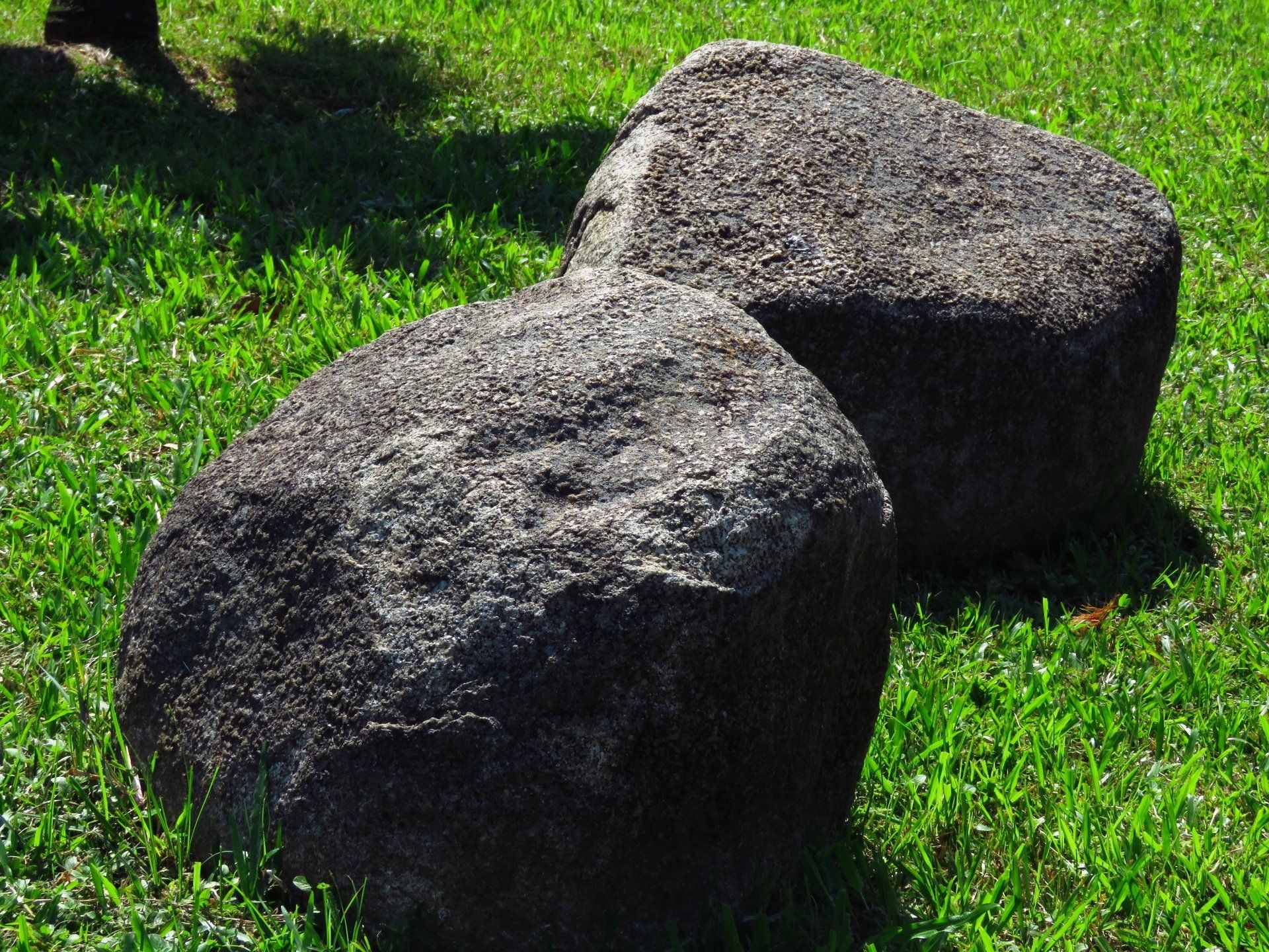 Two large gray rocks on bright green grass in sunlight