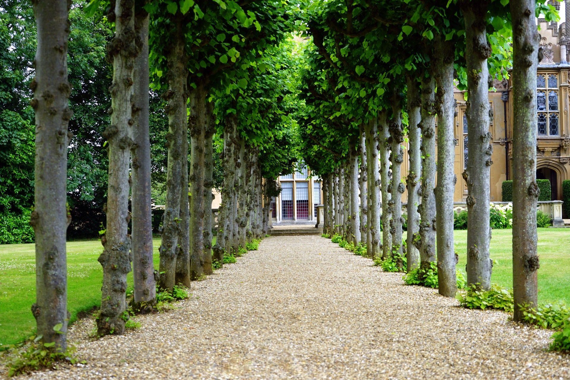 Tree-lined gravel path leading to a building entrance with stone columns and green ivy overhead